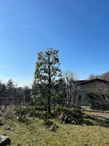 Giardiniere per manutenzione del verde a Monza e Brianza